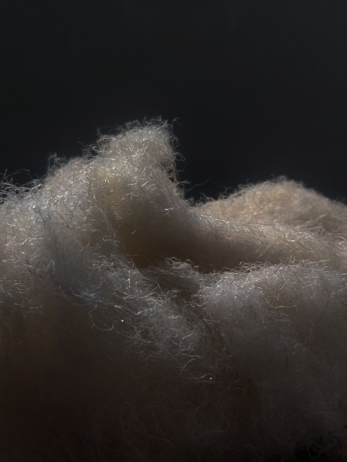 Rainmatter by Zerodha, H&M Group, Turbostart, and Fashion for Good have invested in AltMat, a materials science company that builds the technology, infrastructure and an ecosystem for waste to next-gen materials.