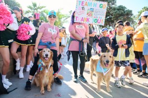 Skechers Friendship Walk