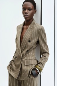 Max Mara Pre-Fall 2026 Collection