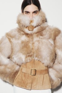 Elisabetta Franchi Pre-Fall 2026 Collection