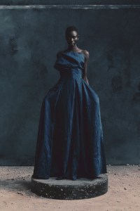 Erdem Pre-Fall 2026 Collection