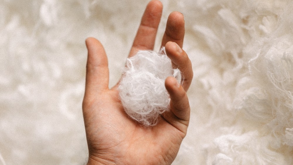 Everbloom's patented process begins with purifying and refining pre-consumer textile waste into its purest protein form.