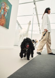 The scene inside Frieze Los Angeles 2026.