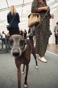 The scene inside Frieze Los Angeles 2026.