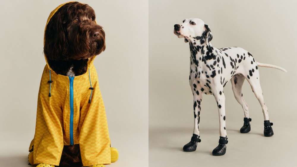Kith's first pet collection with Wagwear.