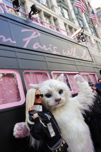 Paris Hilton and Choupette