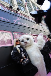 Paris Hilton and Choupette