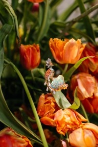 A preview of the 2026 Blue Book jewelry collection.