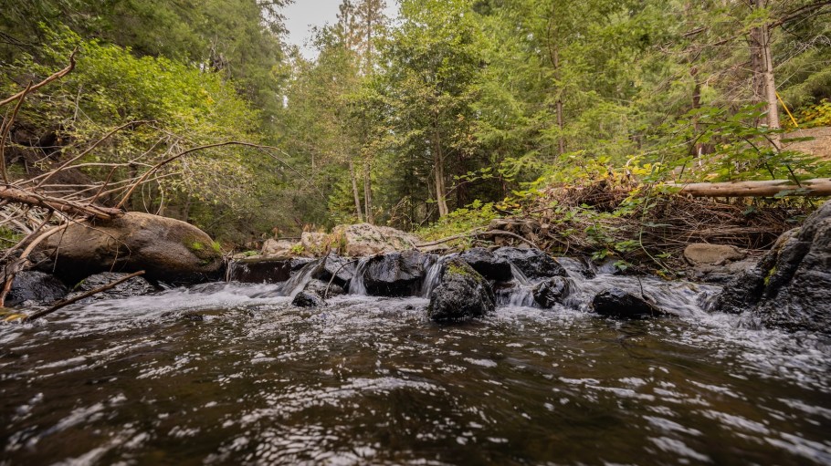 Upper Mokelumne River Watershed