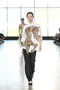 Fangyuan Da
